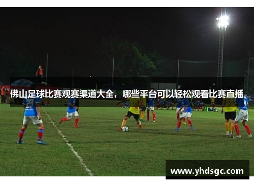 佛山足球比赛观赛渠道大全，哪些平台可以轻松观看比赛直播